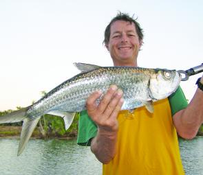May is a good time to look for tarpon tailing around dusk in deeper stretches or spots with strong current.